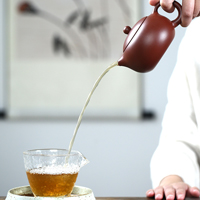Yixing Teapot Purple Clay Xi Shi Handmade 260ml